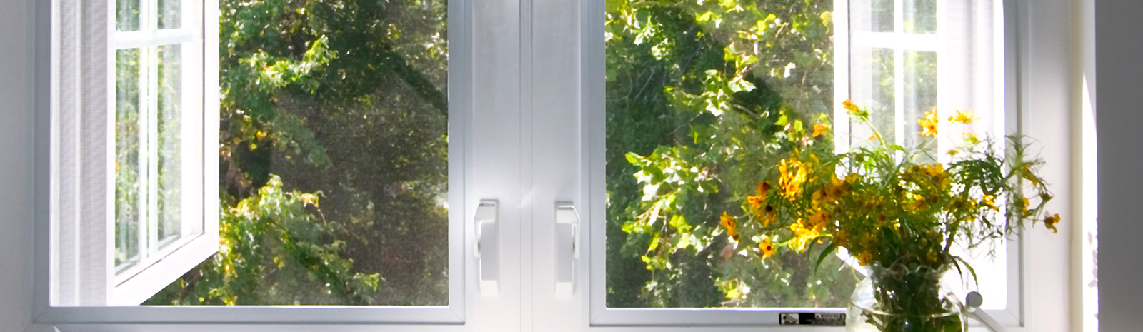 view of trees from an open window